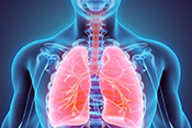 Protein in lungs could be target for asthma drugs