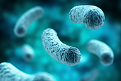 Antibiotic group shown to be effective against drug-resistant bacteria
