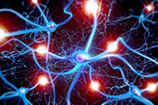 Researchers grow axons in lab