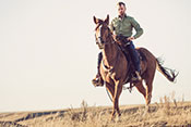 Therapeutic horseback riding may reduce PTSD symptoms