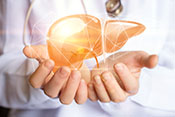 Accepting hepatitis C-positive liver transplants could improve life expectancy