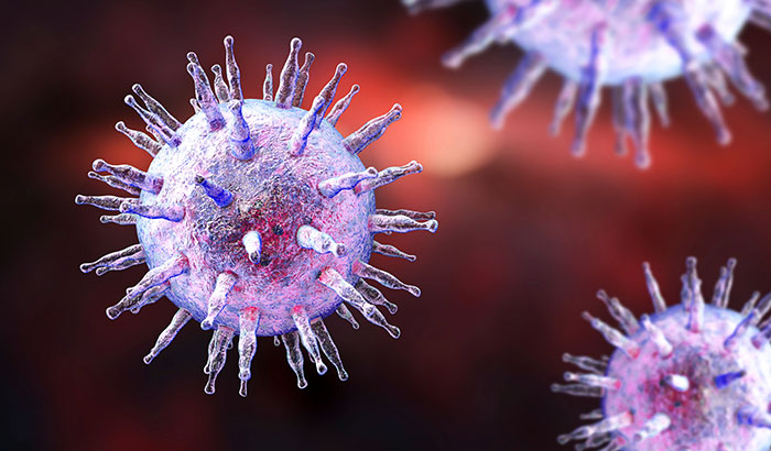 New research links the Epstein-Barr virus to numerous autoimmune diseases. (Photo: ©iStock/Dr._Microbe)