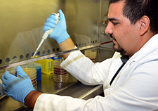 Research scientist Dr. Micah Flores of the North Florida/South Georgia Veterans Health System is part of a team studying maggot therapy to heal diabetic foot ulcers. <em>(Photo by Greg Westlye)</em>