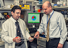 Drs. M. Neale Weitzmann (left) and George R. Beck Jr. are developing nanoparticles that they hope will become an alternative to current osteoporosis drugs.