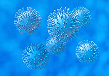 Artist's rendering of the hepatitis virus.   