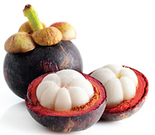 The mangosteen, an exotic tropical fruit, may contain a compound helpful for treating abnormal blood vessel growth in the retina, say VA researchers.  