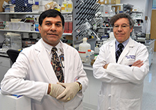 Drs. Mahesh Sharma (left) and Marc Blackman are exploring ways to cut off tumors' blood supply and thereby keep them from growing and spreading.