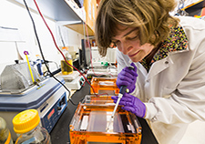 Researchers at the Center for Neuroscience and Regeneration Research used various molecular technologies to pinpoint genetic mutations in the Nav1.7 sodium channel. Seen here is associate research scientist Dr. Daria Sizova. (Photo by Robert Lisak)