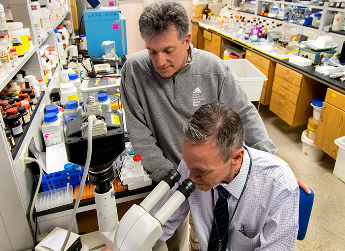Drs. Sam Gandy (standing) and Greg Elder at the Bronx VA were part of a team that showed that an experimental drug called BCI-838 could reverse PTSD traits in rats exposed to repetitive blasts, (Photo by Lynne Kantor)  