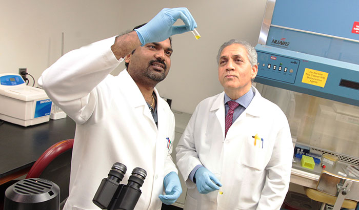 Drs. Rakesh Meka (left) and Kamal Moudgil and their team at the Baltimore VA Medical Center and University of Maryland are developing a targeted drug therapy to treat painful joints without affecting other tissues. (Photo by Mitch Mirkin)   