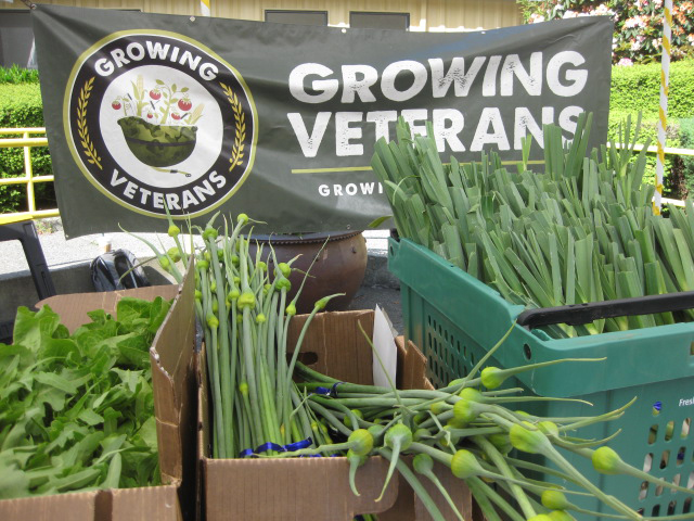 Lettuce, onion scapes, and leeks were among the produce that Growing Veterans had for sale recently at the Seattle VA Farmerâ€™s Market. (Photo courtesy of Christopher Brown)