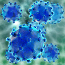 A 3D rendered illustration of the hepatitis C virus. <em>(Photo: ©iStock/xrender)</em>