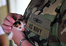 Researchers are exploring whether exposure to the pathogen <i>Toxoplasma gondii—</i>often spread through contact with cat feces—may be a factor in suicide risk among U.S. troops.