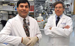 Drs. Mahesh Sharma (left) and Marc Blackman are exploring ways to cut off cancerï¿½s blood supply and thereby starve it to death.