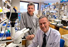 Drs. Sam Gandy (left) and Greg Elder are studying a neuron-generating compound that shows promise for both Alzheimer's disease and traumatic brain injury. (Photo by Lynne Kantor).