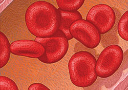 VA researchers in Loma Linda have found a way to reprogram adult blood cells into stem cells.