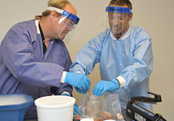 Health science specialists Sean Walker (left) and Jim Averill handle central nervous system tissue at the VA Biorepository Brain Bank, based at the Tucson VA Medical Center.