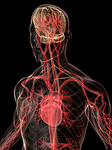   A recent VA study on depression and angina—heart pain—yields new insights on the heart-mind connection. 