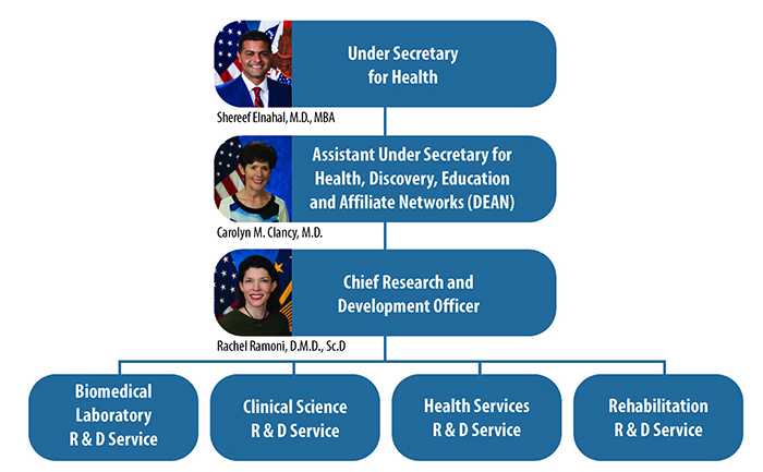 VA Office of Research and Development Organizational Chart