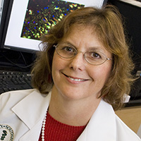 Dr. Paula Bickford