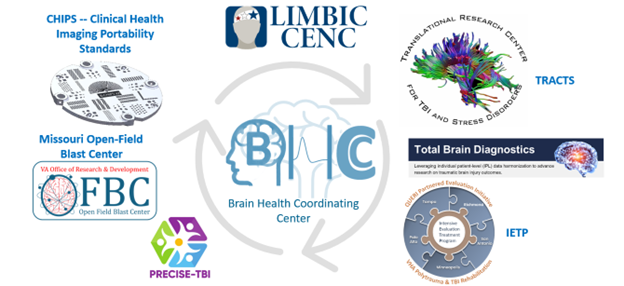 Brain Health Coordinating Center Partnerships