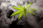 Cannabis use disorder linked to aggression - Photo: ©iStock/Olga Novikova