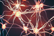 Study explains gene mutation’s link to ALS 