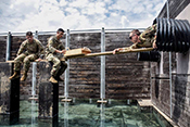 New insight on the genetic basis of psychological resilience - U.S. Army photo by Spc. Jeffery