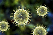 Herpes antibodies may partly protect against shingles - Image: ©Getty Images/Dr_Microbe