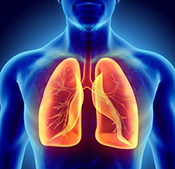 New assessment for pulmonary hypertension -  Photo: ©iStock/yodiyim