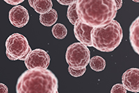 Researchers develop promising new drug for rare skin cancer
