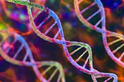 Largest-ever genetic study of suicide finds genetic risk factors - Image: ©iStock/Dr_Microbe