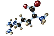 Possible mechanism behind TBI-related sleep-wake disturbances