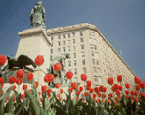 CSP Central Office - Washington, D.C.