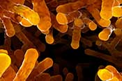 Cleveland partnership to tackle antibiotic resistance