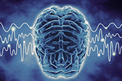For the first time, scientists are able to see how the brain records memories as we sleep