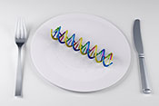 Genetics Are Partly To Blame For Your Food Cravings