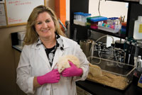 Dr. Catherine Kotz, whose lab work at the Minneapolis VA involves specially bred obesity-prone rats, is part of a research team exploring the links between weight gain and the brain hormone orexin.