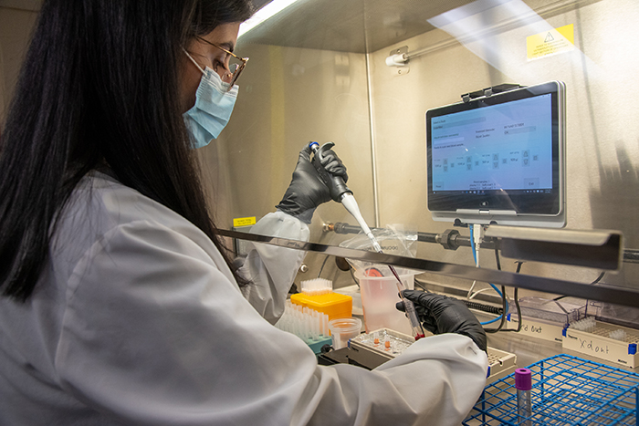 Health science specialist Yasamin Azadzoi prepares MVP volunteer blood samples at the Boston VA. (Photo by Frank Curran)