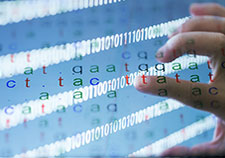 Gene variant may increase psychiatric risk after TBI