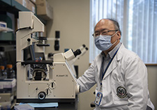 MVP study shows effectiveness of genetic screening tool for breast cancer risk