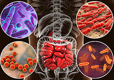 VA study links antibiotics with diabetes risk