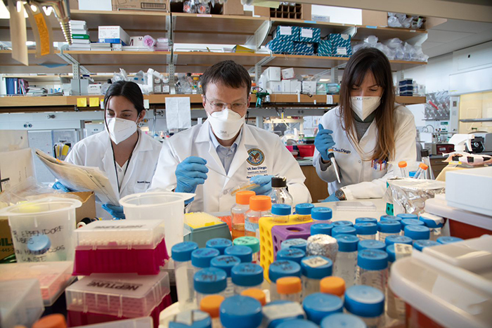 Dr. Bernd Schnabl and his team study bacteriophages, which are viruses that can target and kill specific bacteria and thereby help treat certain health conditions. (Photo by Kevin Walsh)