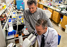 Comprehending the effects of blasts