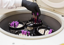 Centrifugation helps scientists extract DNA from a Veteran's blood sample and prepare the DNA for genetic analysis, either through genotyping or whole genome sequencing.