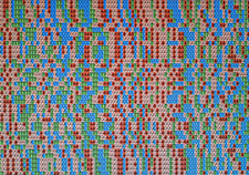 Mapping out the human genome