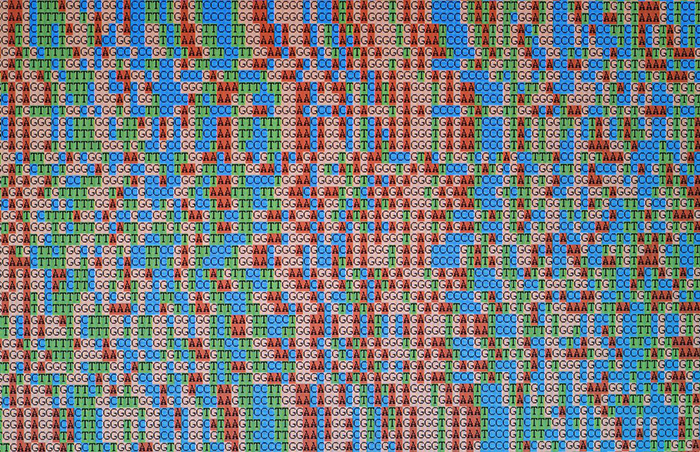 In VA's Million Veteran Program, researchers are mapping the human genome by using genotypingâ€”a process that spells out several hundred thousand data points, one-by-one.
(Photo for illustrative purposes only Â© Getty Images/alanphillips)
 
