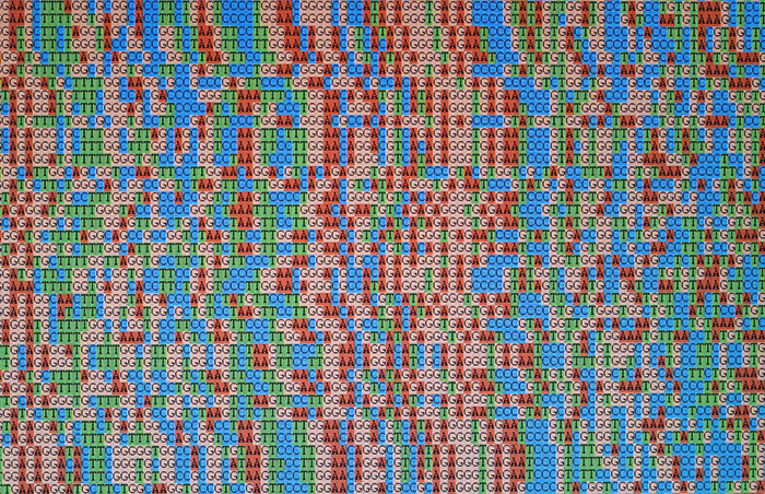 In VA's Million Veteran Program, researchers are mapping the human genome by using genotypingâ€”a process that spells out several hundred thousand data points, one-by-one.
(Photo for illustrative purposes only Â© Getty Images/alanphillips)
 
