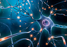 VA Enters into Next Phase of PTSD Research: Groundbreaking study maps PTSD at Cellular Level in Veteran’s Brains