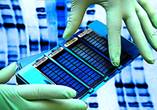 A VA technician handles a tray containing bar-coded DNA from research volunteers, along with more than a million micron-sized beads of lab-supplied DNA, each bead containing a different genetic variant. A special scanner is used to detect matches between the sets of DNA, thus determining which variants a patient or research volunteer has.   